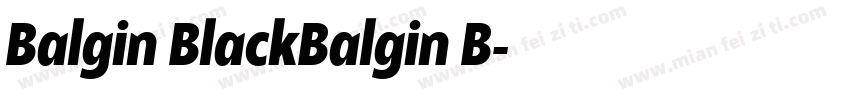 Balgin BlackBalgin B字体转换